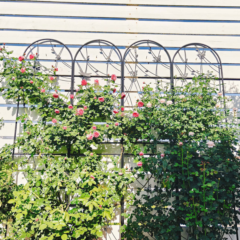 Paquet de 4 treillis de jardin en métal 86,7 po x 19,7 po antirouille pour plantes grimpantes pour l'extérieur