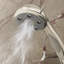 Pomme de douche à main multifonction Napa-32850641