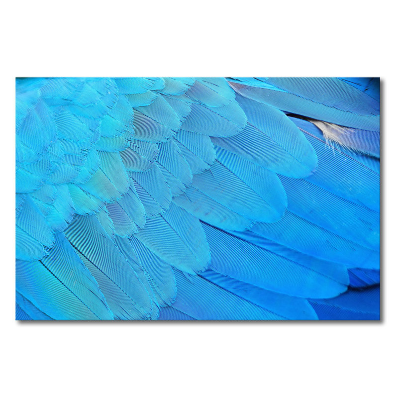 Wrapped Canvas Print, 80cm H x 120cm W x 2cm D