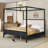 Canopy Bed with Upholstered Headboard-1721938783-1721938781