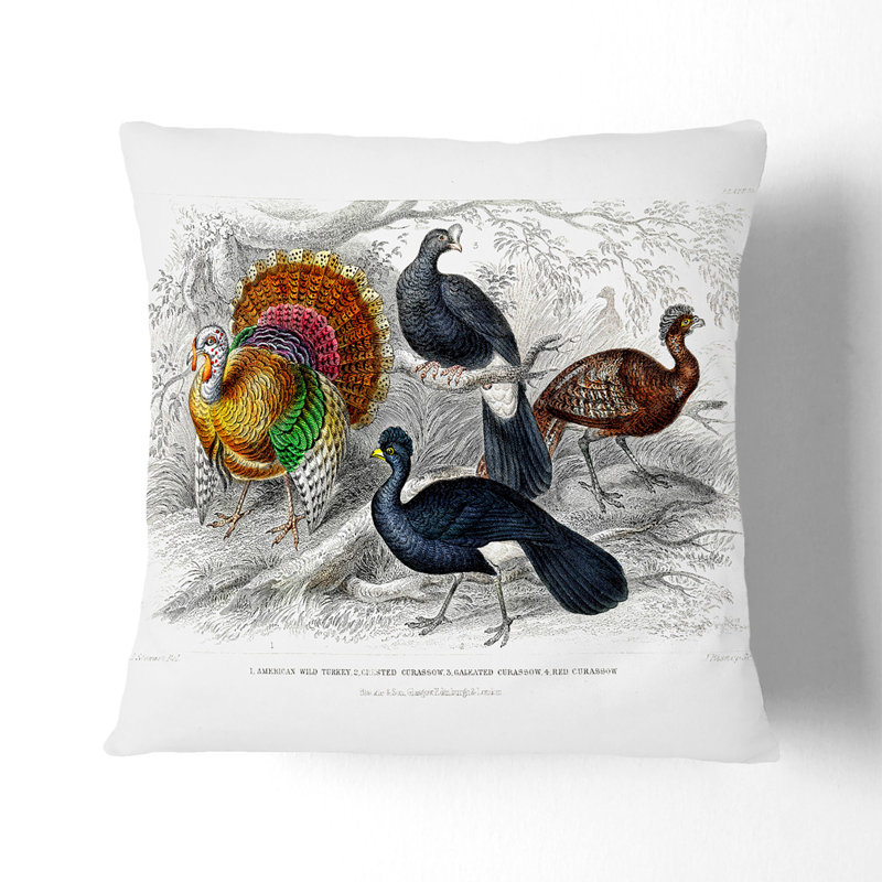Wild Turkey & Curassow Birds by Oliver Goldsmith Cushion with Filling, 55cm H x 55cm W x 20cm D, Stone