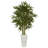 Bamboo Tree in White Tower Planter