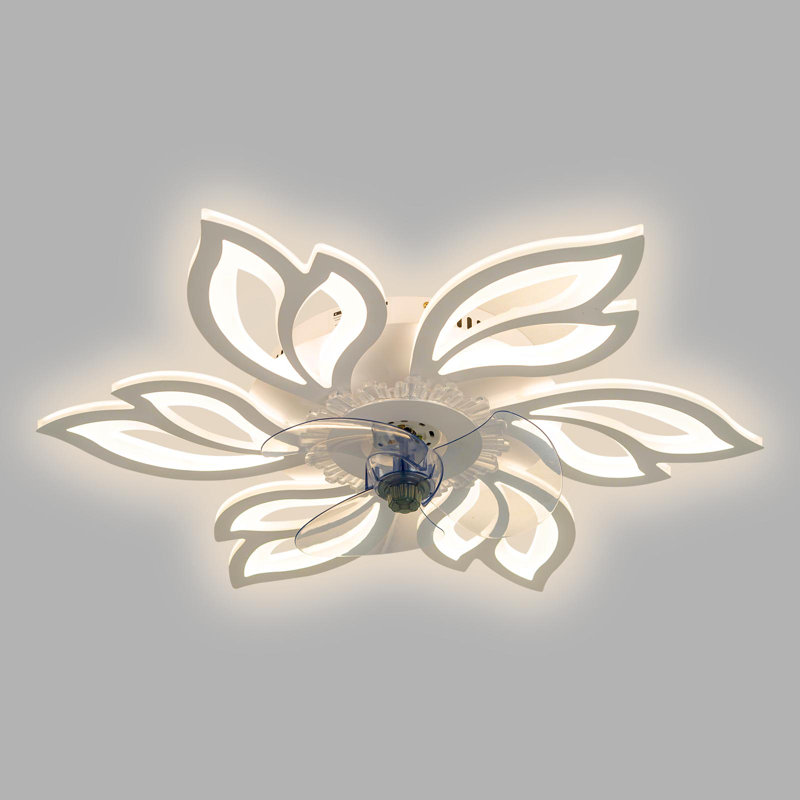 Ceiling Fan with LED Lights