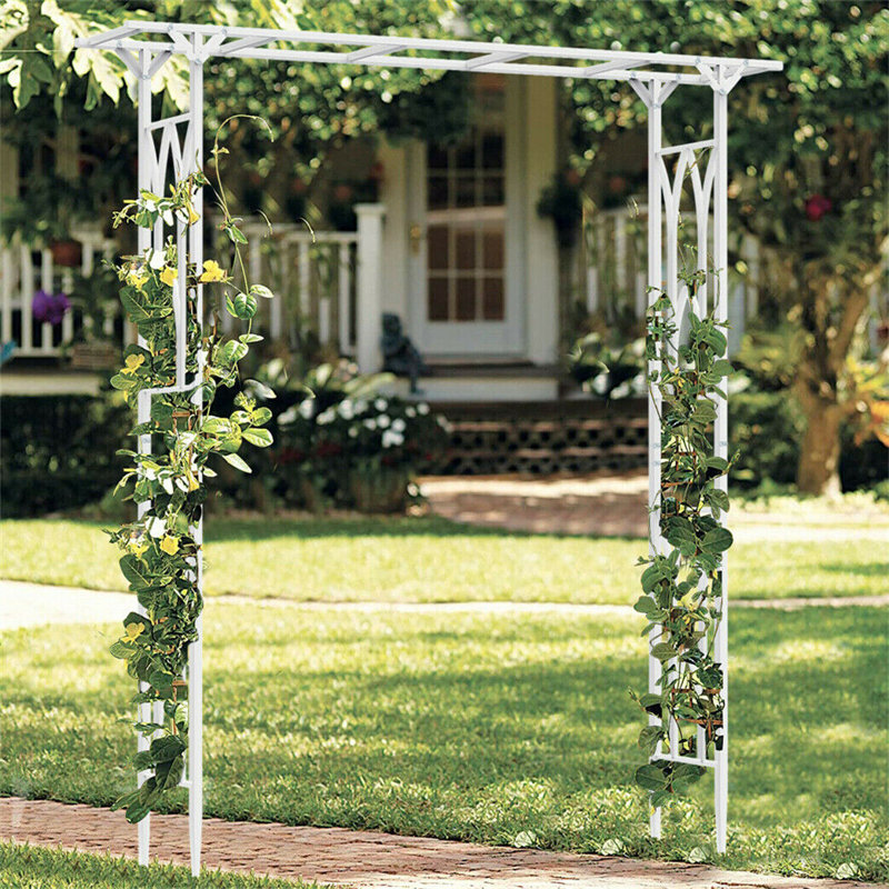 Iron Backdrops & Signs