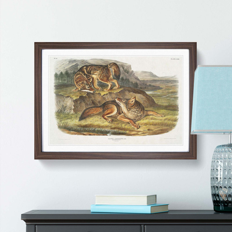 Prairie Wolves by J.W. Audubon - Picture Frame Painting Print, 36cm H x 48cm W x 2cm D, Walnut Framed