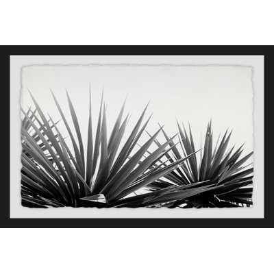 Pointed Leaves - Single Picture Frame Print