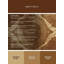 Tapis moelleux moelleux d'inspiration marocaine Medina-1617485772