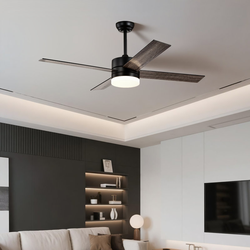 Avamaria 52'' Ceiling Fan with LED Lights, Black