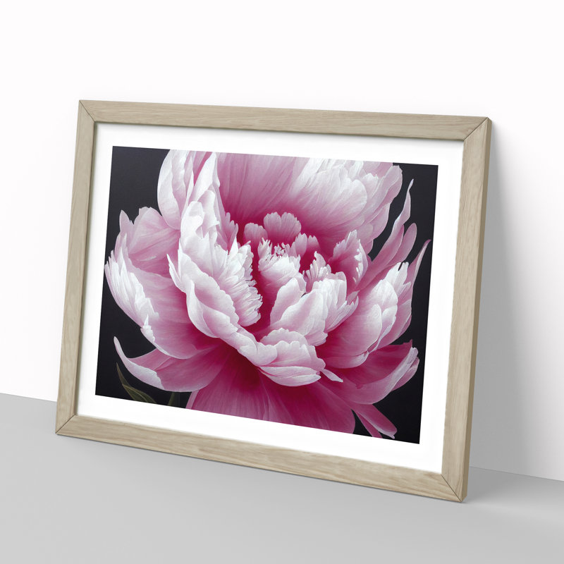 Splendid Peony Flower - Framed Print, 34cm H x 46cm W x 2cm D, Oak