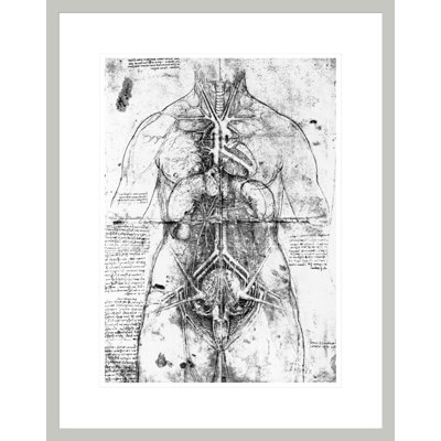 Dessin d'une étude d'anatomie par Leonardo Da Vinci - Reproduction giclée encadrée