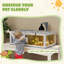 Wooden Tortoise House with Lamp Holder Clear Windows Openable Tops