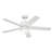 Brahm 48'' Ceiling Fan with LED Lights