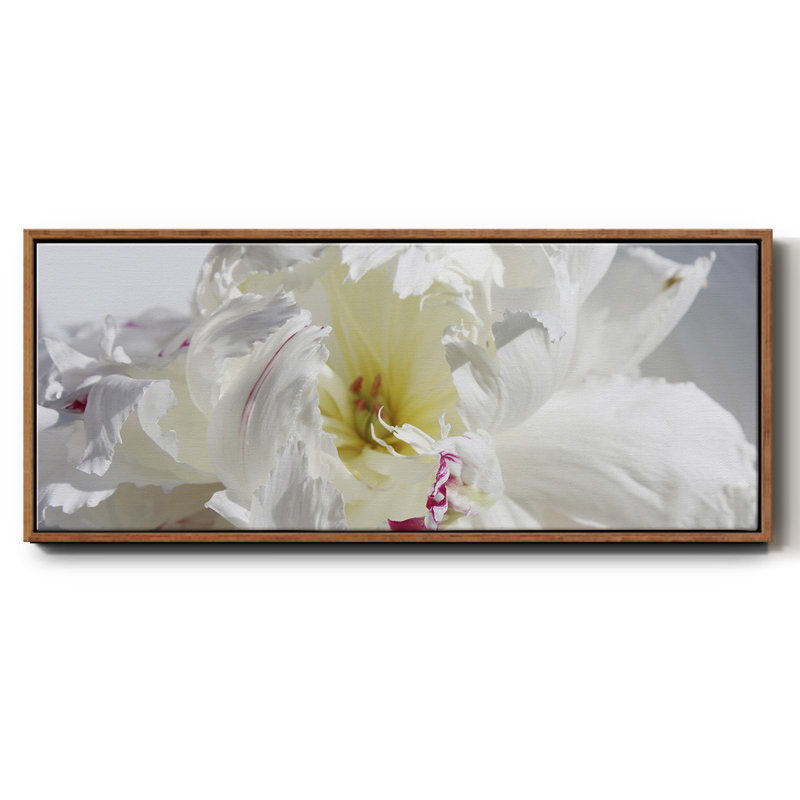 Breathless IV- Framed Canvas, 20" H x 50" W