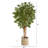 72'' Faux Maple Tree in Burlap, Cotton Planter