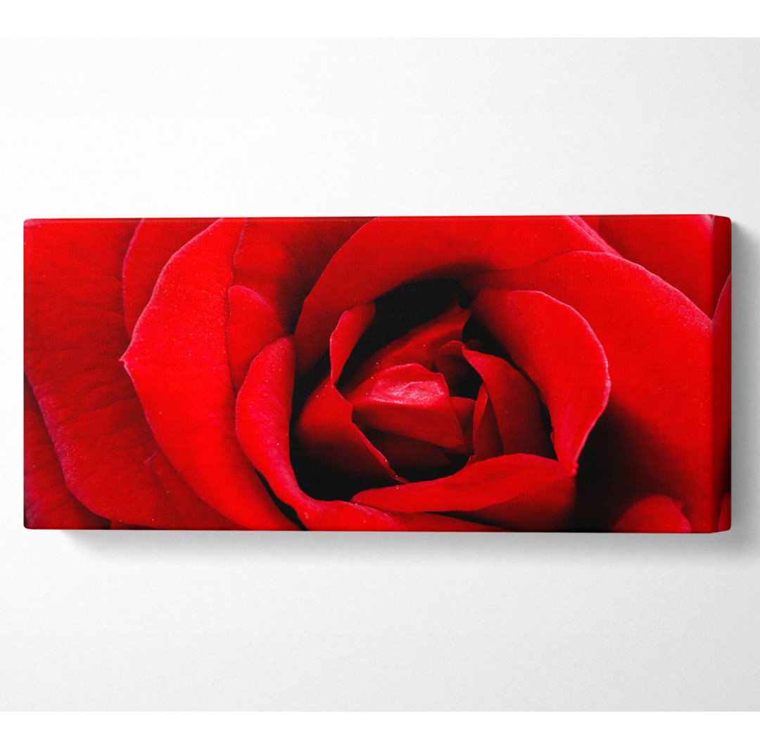 Gerahmtes Leinwandbild Red Rose Velvet Petals