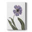 «Xray Tulip X», impression sur toile tendue-753859364