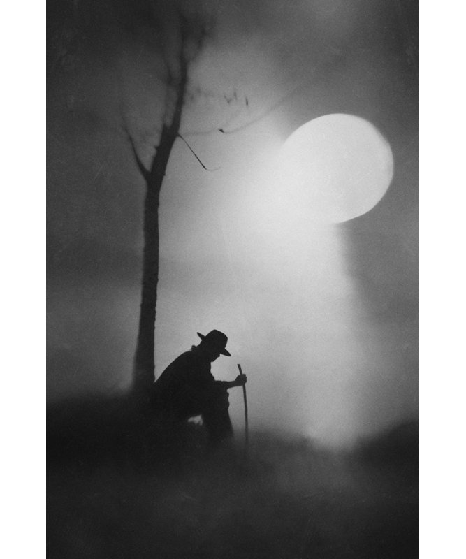 Wrapped Canvas Print, 76.2 cm H x 50.8 cm W