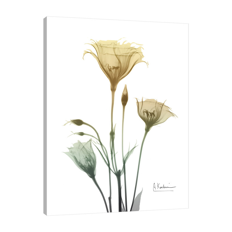 Ocre Bloom 1 - Wrapped Canvas Print, 122 cm H x 91 cm W