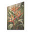 Oiseaux du paradis, fleurs tropicales I - Oiseaux du paradis sur bois-818656643