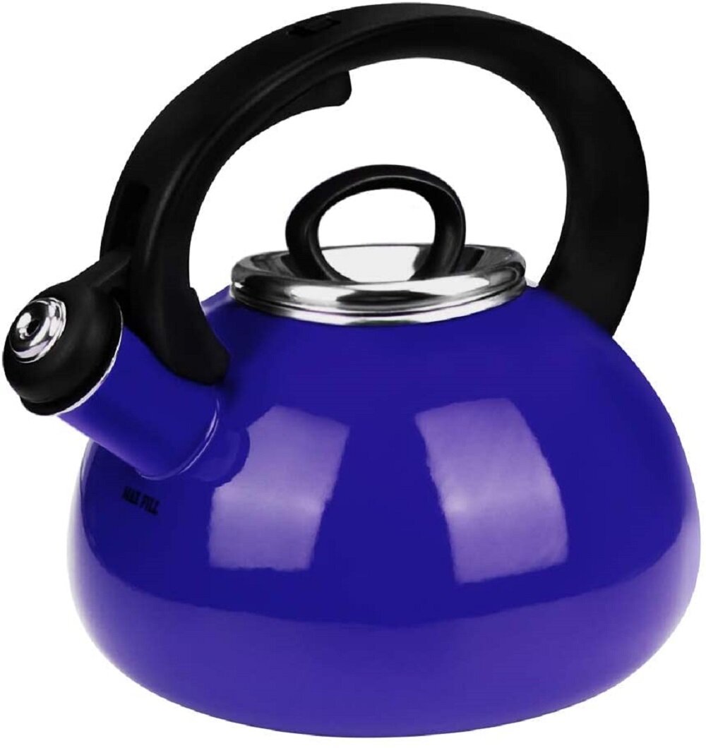 Typhoon Otto 2.11 Quarts Stainless Steel Whistling Stovetop Tea Kettle &  Reviews
