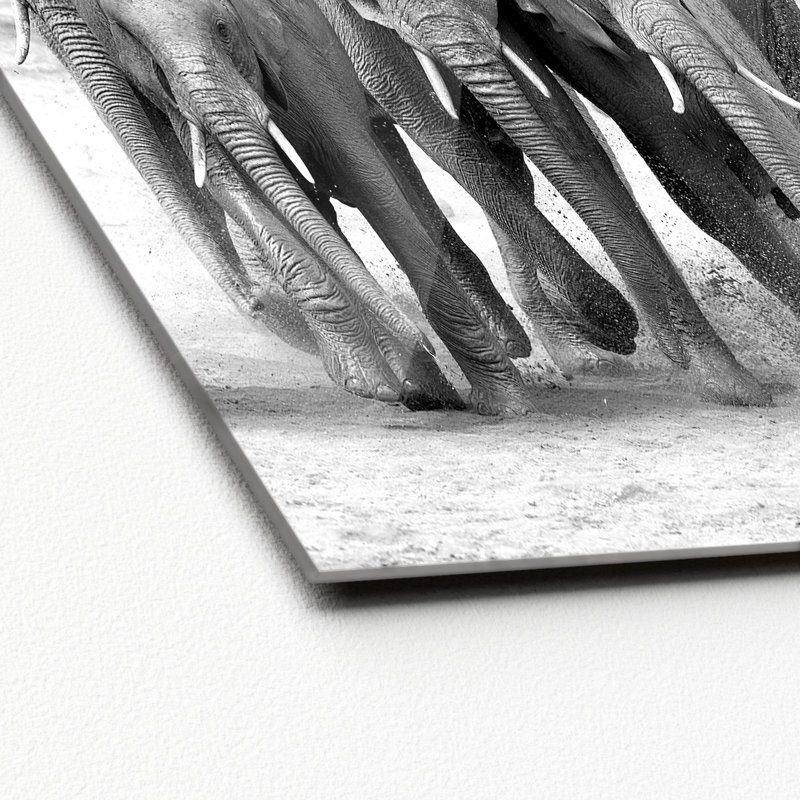 No Frame Print on Glass, 80 cm H x 80 cm W x 1.5 cm D
