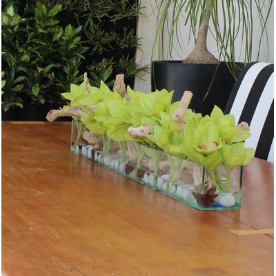 Arrangement in Planter