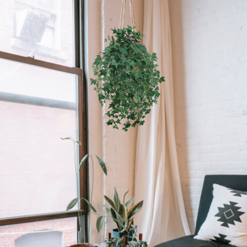 14'' Faux Ivy Plant