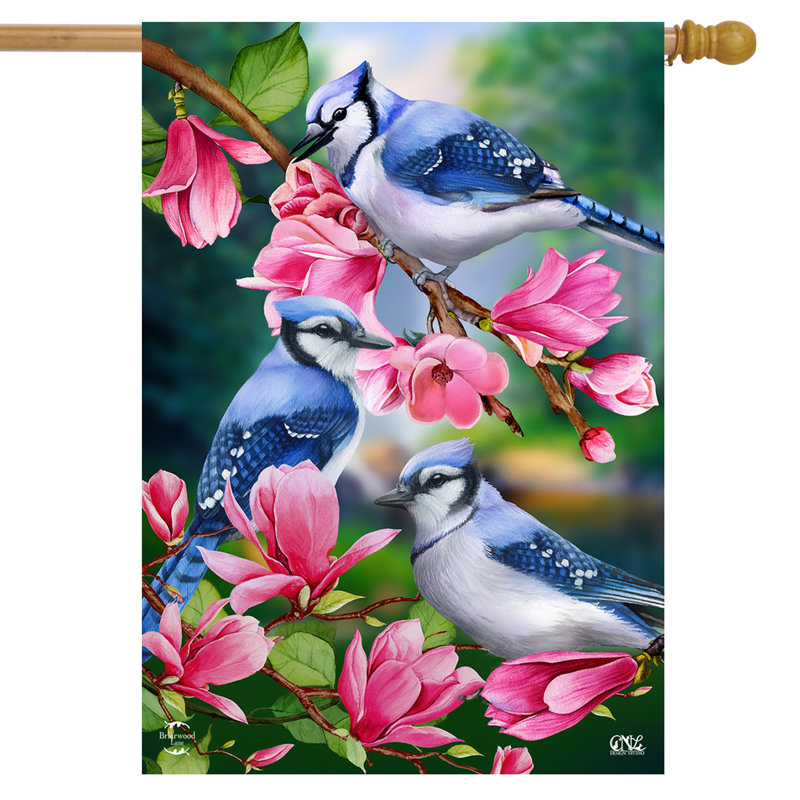 Drapeau de maison bleu Jay Trio, Rose / bleu