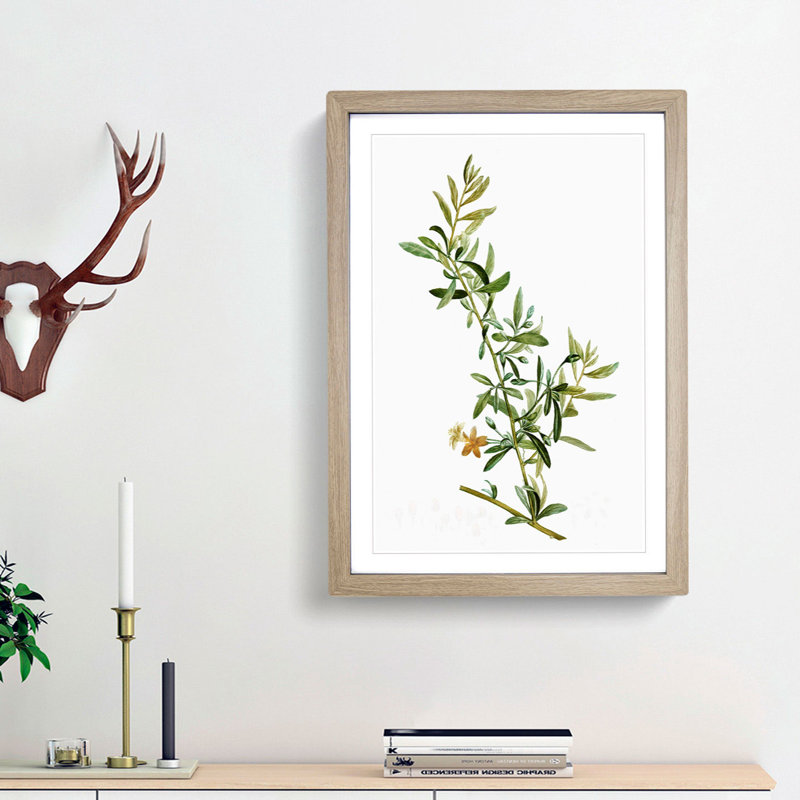 Goji Berry Tree by Pierre-Joseph Redoute - Picture Frame Painting Print, 48cm H x 36cm W x 2cm D, Oak Framed