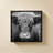 Cow Nose BW