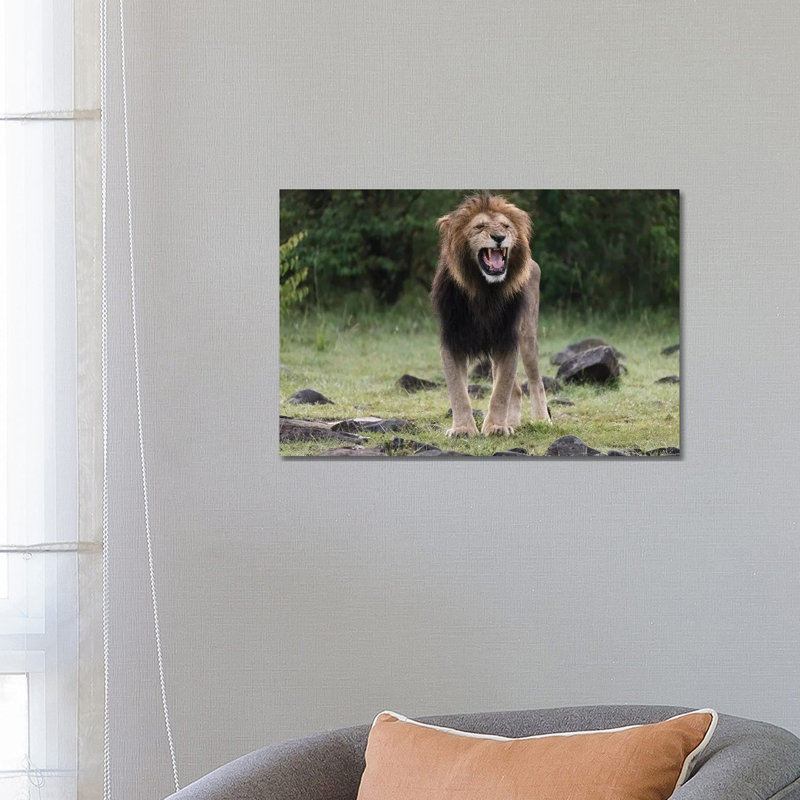 Africa, Kenya, Maasai Mara National Reserve by Jaynes Gallery - Wrapped Canvas Print, 45.72cm H x 66.04cm W x 1.905cm D
