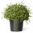 15" Artificial Mini Tea Leaf One-Ball