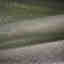 Photos des clients 1 de 1