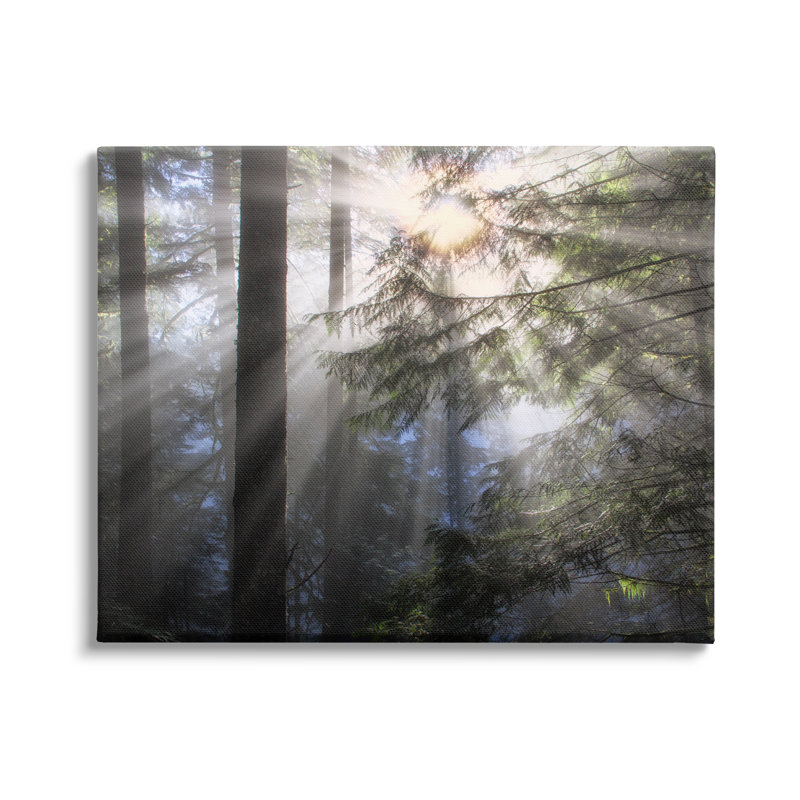 «Au-821-Canvas Forest Sun Rays Nature Scenery on Canvas» par Dennis Frates, photographie, H 36 po x l 48 po x P 1,5 po
