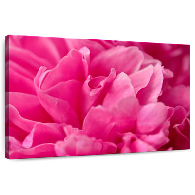 Pivoine rose brillante