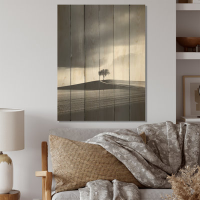 Photographie en noir et blanc de la tranquillité des prairies - Minimalisme, art mural sur bois de pin naturel