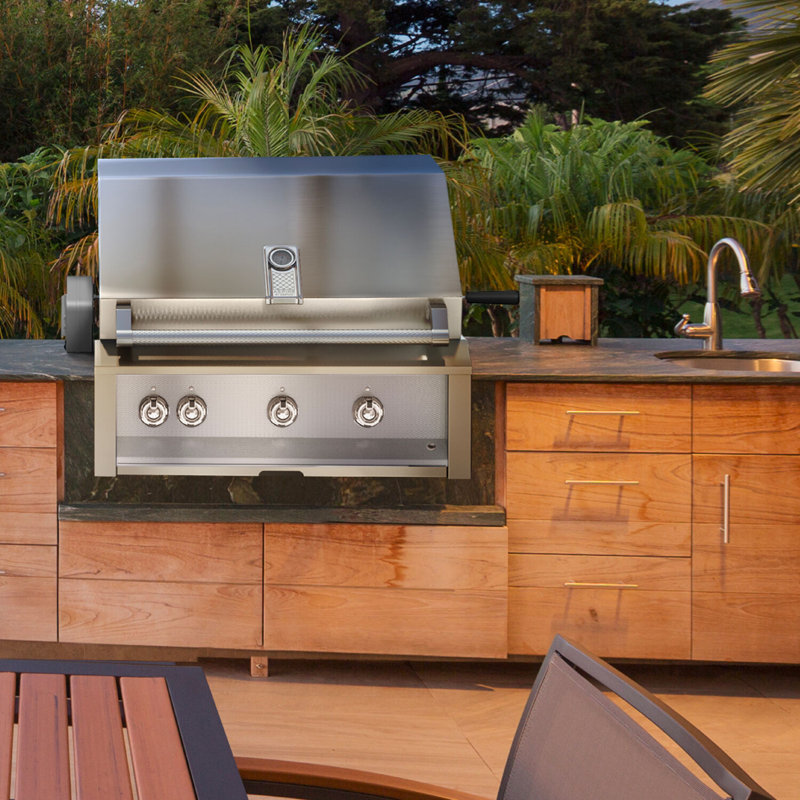Aspire Grill Built-In, 2 U-Burner, Rotisserie 30", Liquid Propane
