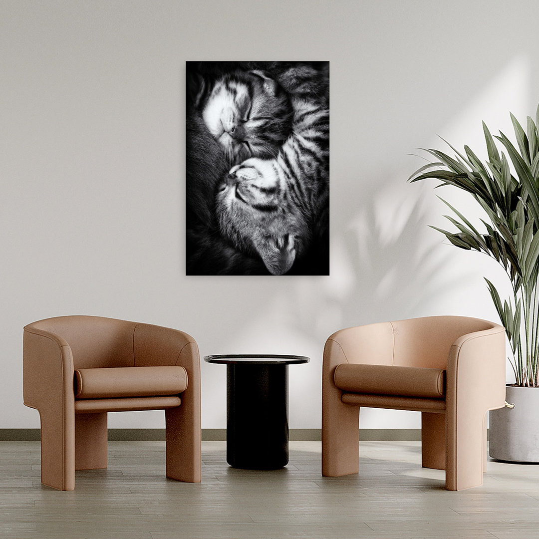 Yin and Yang Contemporary Cat Wall Art Print