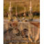 Monkey Tales Tablecloth - Linen-1499454186-1499454191