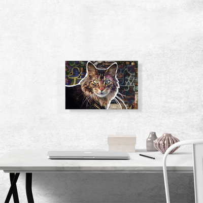 " Maine Coon Cat Breed Alley "