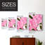 Reproduction encadrée néon rose poinsettias II - bois massif-853896108-853896109