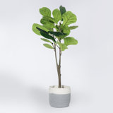 Chappell 39'' Faux Fiddle Leaf Fig Tree in Wicker/Rattan Planter