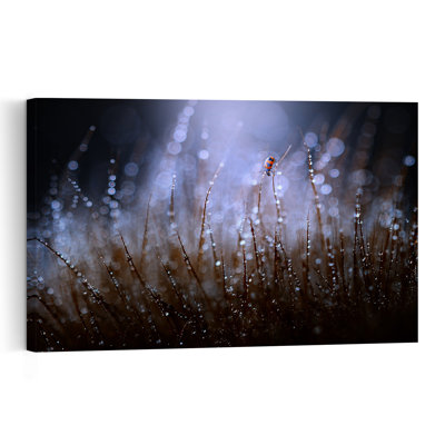 Ladybug Morning Dew Dreamy Tranquil Contemporary Ladybug Nature Wildlife Wall Art Print by Edy Pamungkas - Print