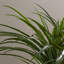 129.54cm Faux Palm Tree in Pot