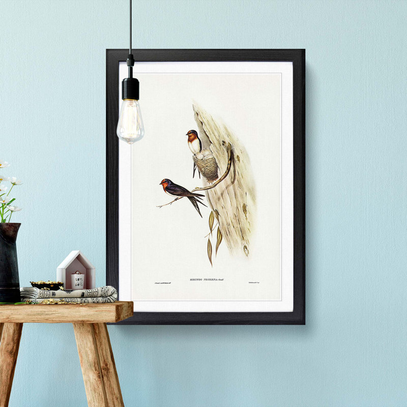 Welcome Swallows by Elizabeth Gould - Framed Print, 65cm H x 48cm W x 2cm D, Black Framed