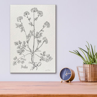  'Botanical Studies On Paper B' by Jean Plout Acrylic Glass Wall Art, 12" x 16"