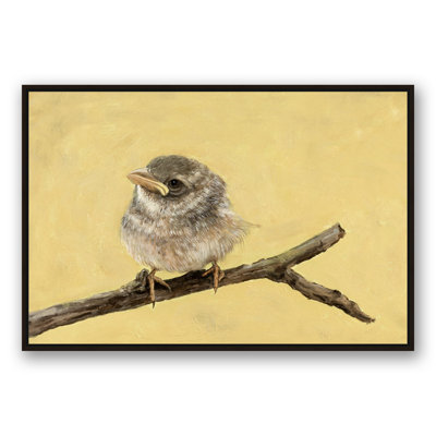 " Little Bird "