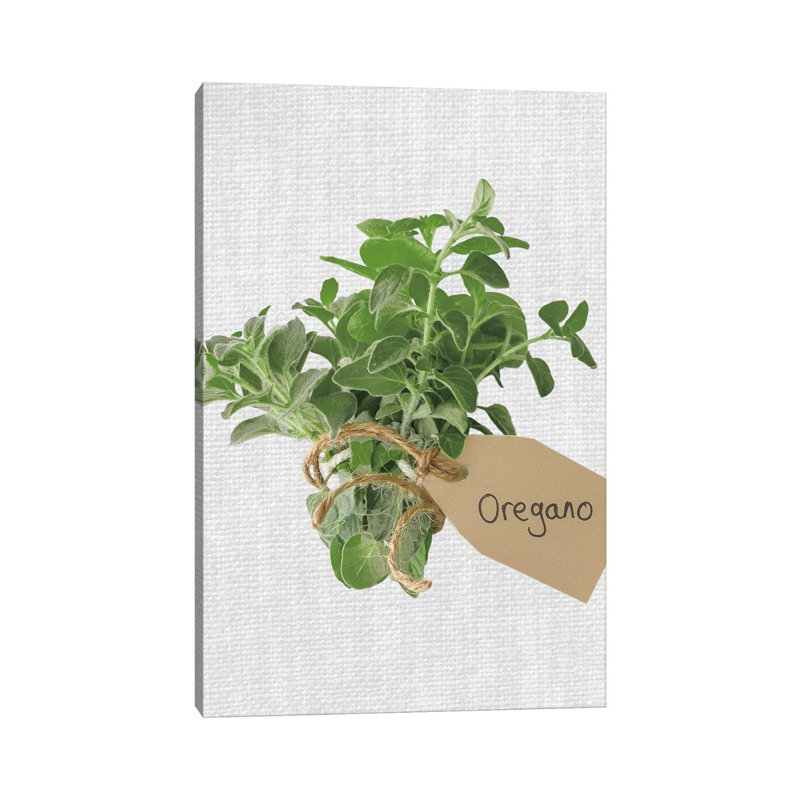 Oregano by Assaf Frank - Wrapped Canvas Print, 66.04 cm H x 45.72 cm W x 1.91 cm D