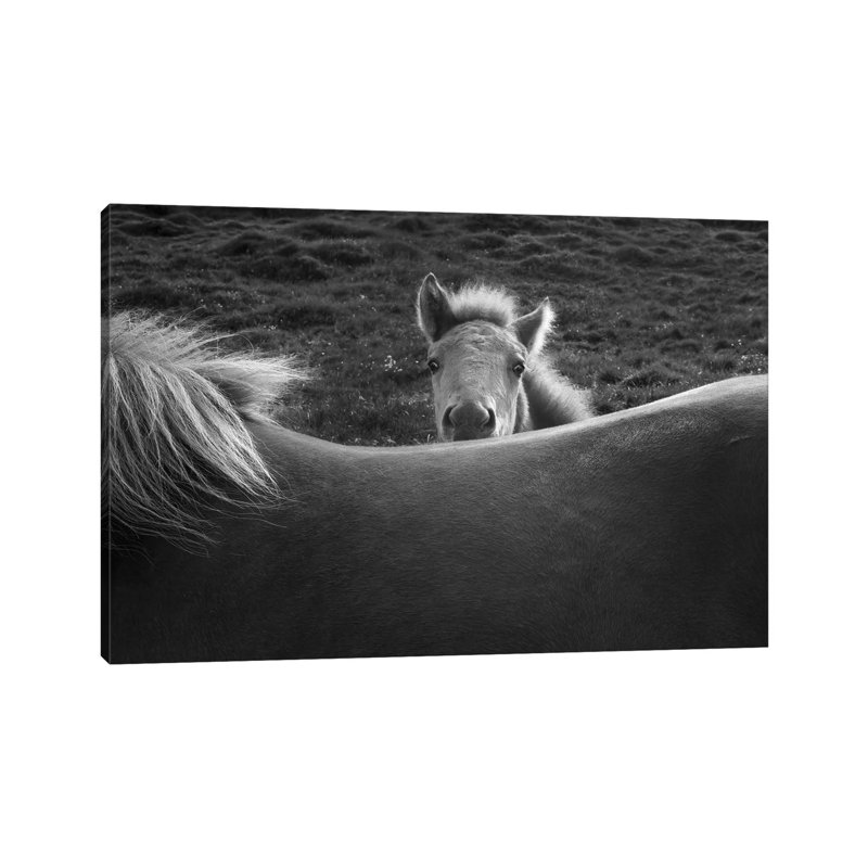 Mother's Back by John Fan - Wrapped Canvas Print, 20.32 cm H x 30.48 cm W