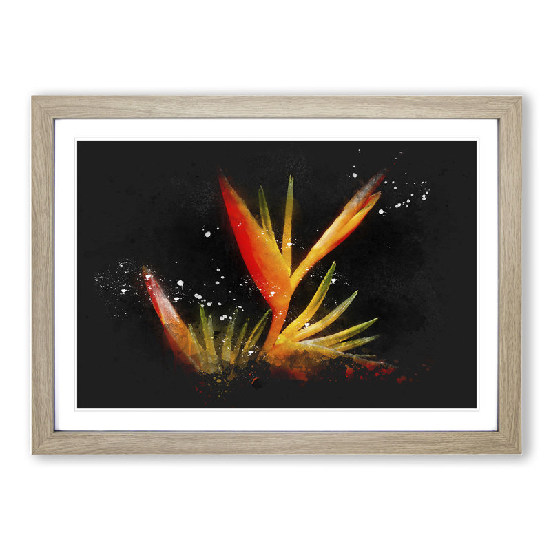 Bird of Paradise Flower - Framed Print, 27cm H x 36cm W x 2cm D, Oak